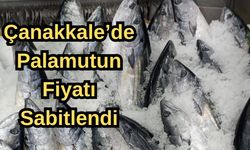 Çanakkale'de palamutun fiyatı sabitlendi!