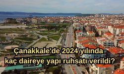 Çanakkale'de 2024 yılında kaç daireye yapı ruhsatı verildi?