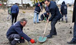 ÇOMÜ’den Ulupınar’da fidan dikimi seferberliği