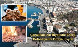 Çanakkale’nin Biyokütle Enerji potansiyelini ortaya koydu