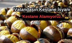 Vatandaşın kestane isyanı! 'Kestane Alamıyoruz…'