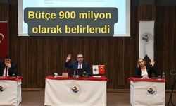 Bütçe 900 milyon olarak belirlendi