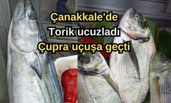 Çanakkale'de torik ucuzladı, Çupra uçuşa geçti