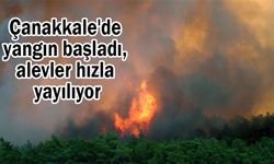 Çanakkale'de yangın başladı, alevler hızla yayılıyor