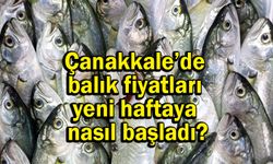 Çanakkale’de balık fiyatları yeni haftaya nasıl başladı?