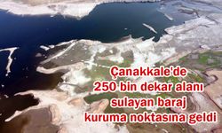 Çanakkale'de 250 bin dekar alanı sulayan baraj kuruma noktasına geldi (VİDEO)