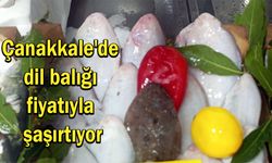 Çanakkale’de dil balığı fiyatıyla şaşırtıyor