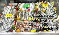 Çanakkale'de balık fiyatları 150 ile 500 lira arasında!