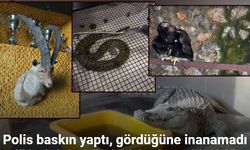 Baskın yapılan evde ele geçirildiler..