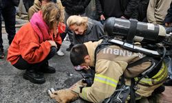 Kalbi duran kediyi itfaiye eri hayata döndürdü (TIKLA İZLE)