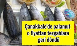 Çanakkale'de palamut o fiyattan tezgahlara geri döndü