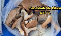 Çanakkale’de kilosu 400 TL