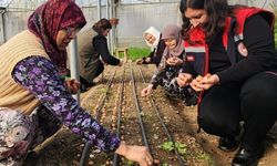 Çanakkale’de sera üretiminin önemi vurgulandı