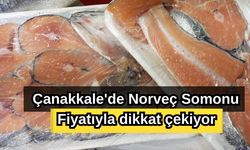 Çanakkale'de Norveç Somonu fiyatıyla dikkat çekiyor