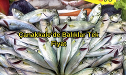 Çanakkale’de Balıklar Tek Fiyat