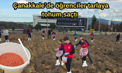 Çanakkale’de öğrenciler tarlaya tohum saçtı