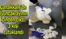 Çanakkale’de oyuncak ayı içinden çıktı, 3 kişi tutuklandı