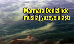 Marmara Denizi’nde müsilaj yüzeye ulaştı (TIKLA İZLE)