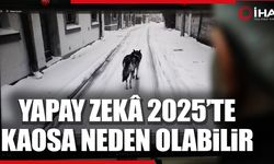 Yapay zekâ teknolojisi 2025’te kaosa neden olabilecek (VİDEO)