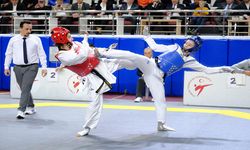 Türkiye Büyükler Taekwondo Şampiyonası sona erdi