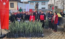 Çanakkale’de çiftçilere zeytin fidanı desteği