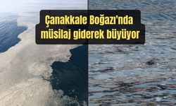 Çanakkale Boğazı'nda müsilaj giderek büyüyor (TIKLA İZLE)