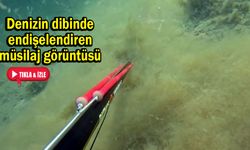 Denizin dibinde endişelendiren müsilaj görüntüsü (VİDEO)