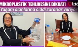 Yediğiniz balıktan vitamin yerine kanserojen madde alabilirsiniz (VİDEO)