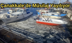 Çanakkale’de Müsilaj Yayılıyor (VİDEO)
