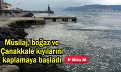 Müsilaj, boğaz ve Çanakkale kıyılarını kaplamaya başladı (VİDEO)