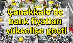 Çanakkale’de balık fiyatları yükselişe geçti