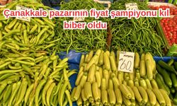 Çanakkale pazarının fiyat şampiyonu kıl biber oldu