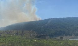 Çanakkale’deki orman yangınında 3 hektar alan zarar gördü