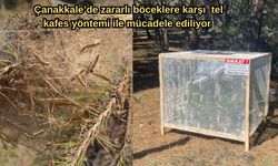 Çanakkale’de zararlı böceklere karşı  tel kafess yöntemi ile mücadele ediliyor