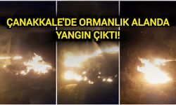 Çanakkale'de Orman Yangını Çıktı!