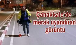 Çanakkale’de merak uyandıran görüntü