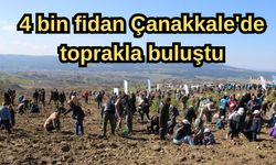 Çanakkale'de 4 bin fidan dikildi