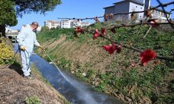 Biga’da haşereyle mücadele başladı