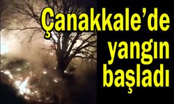 Çanakkale'de başlayan yangın büyüyor