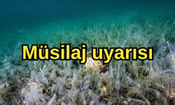 Müsilaj uyarısı