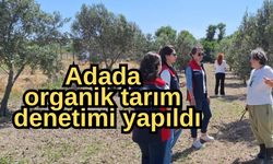 Adada organik tarım denetimi yapıldı