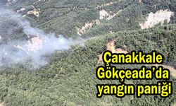 Çanakkale Gökçeada’da yangın paniği