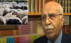Kurban hakkında merak edilenler (Tıkla İzle)