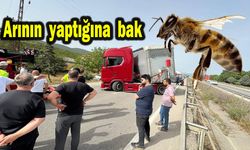 Arının yaptığına bak (Video)