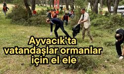 Ayvacık'ta ormanlar için el ele