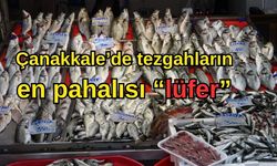 Çanakkale’de tezgahların en pahalısı “lüfer”