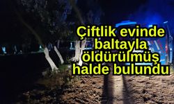 Çiftlik evinde baltayla öldürülmüş halde bulundu
