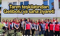 Tarım teşkilatından Gelibolu’ya saha ziyareti