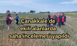 Çanakkale’de ekili alanlarda saha incelemesi yapıldı
