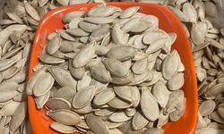 Kabak çekirdeğine "Salmonella", zencefile "Bacillus cereus" nasıl bulaşıyor